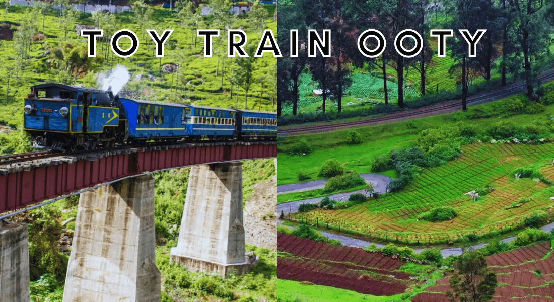 toy train ooty hill station